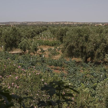 Ryad De Vignes " Le Val D'Argan " Ounara Zewnętrze zdjęcie