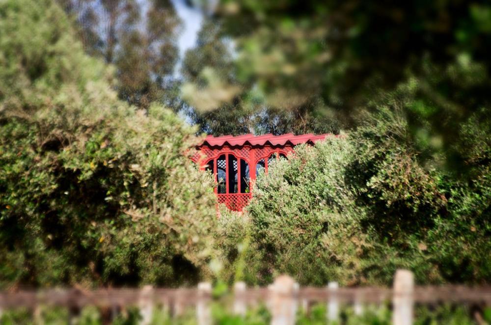 Ryad De Vignes " Le Val D'Argan " Ounara Zewnętrze zdjęcie