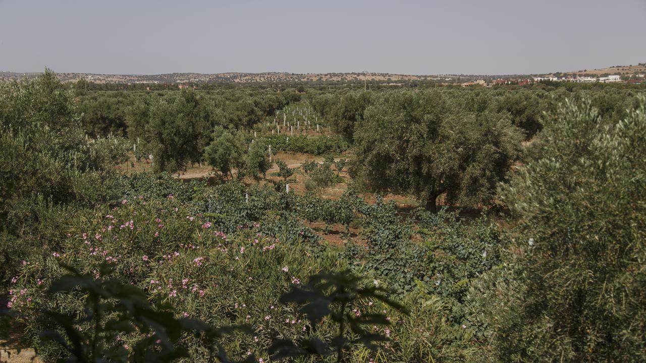Ryad De Vignes " Le Val D'Argan " Ounara Zewnętrze zdjęcie